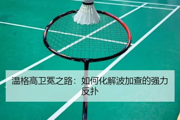 wen-ge-gao-wei-mian-zhi-lu-ru-he-hua-jie-bo-jia-cha-de-qiang-li-fan-pu-3-963.jpg
