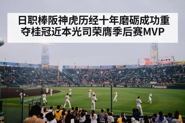 日职棒阪神虎历经十年磨砺成功重夺桂冠近本光司荣膺季后赛MVP