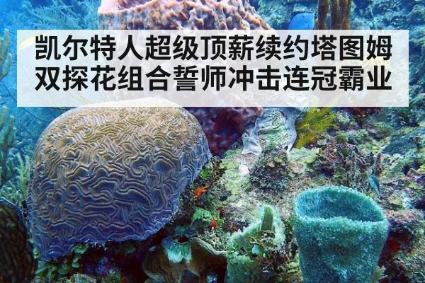 凯尔特人超级顶薪续约塔图姆双探花组合誓师冲击连冠霸业